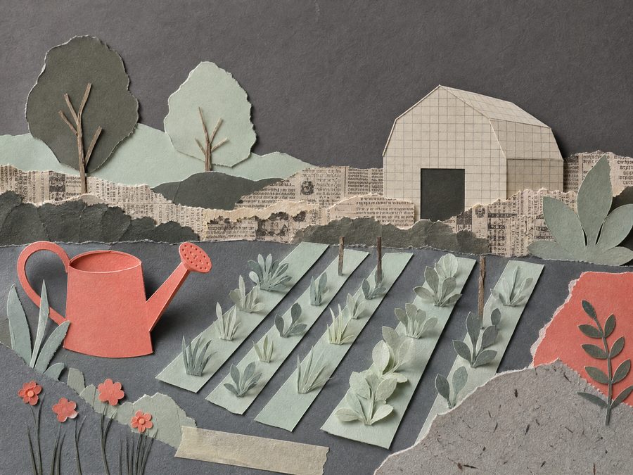 Paper collage of planted rows, a coral watering can and a graph-paper barn